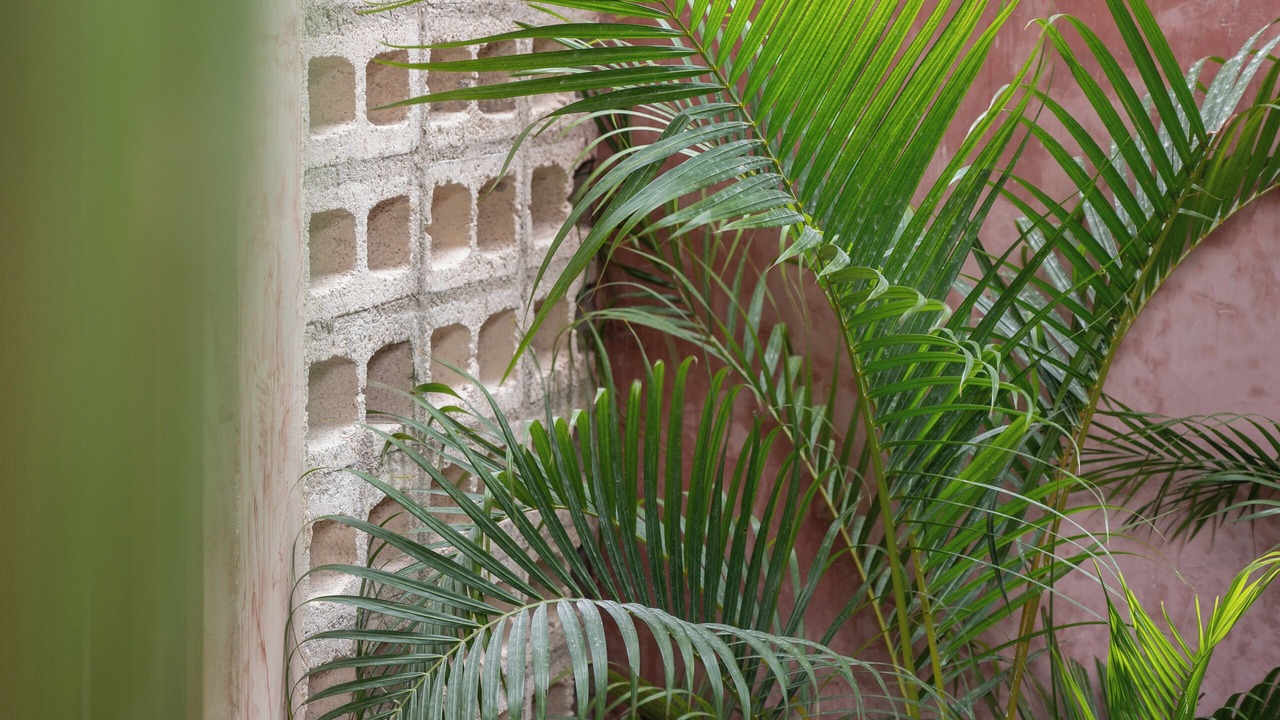 Photo of Bedroom in Downtown Holbox