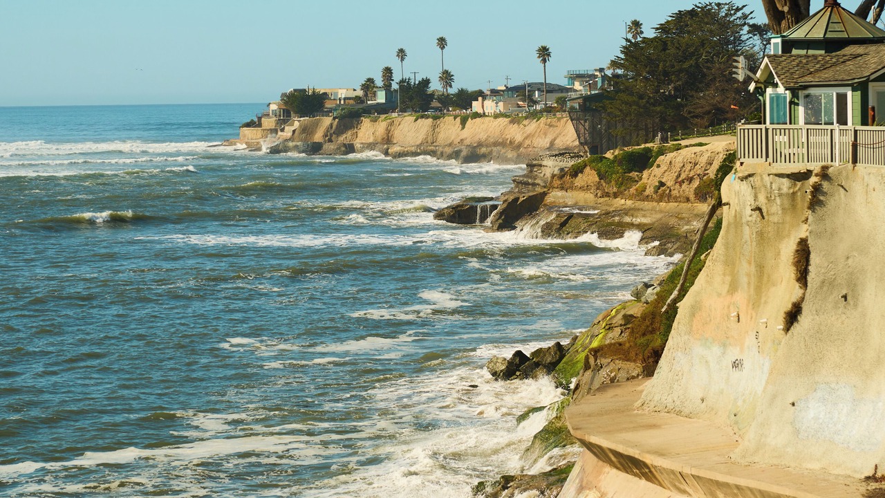 Photo of Others in Westside Santa Cruz