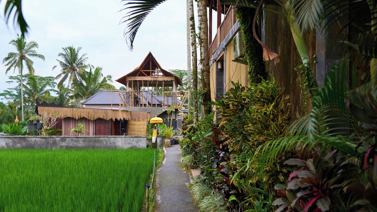 Photo of Outdoor in Tegallalang