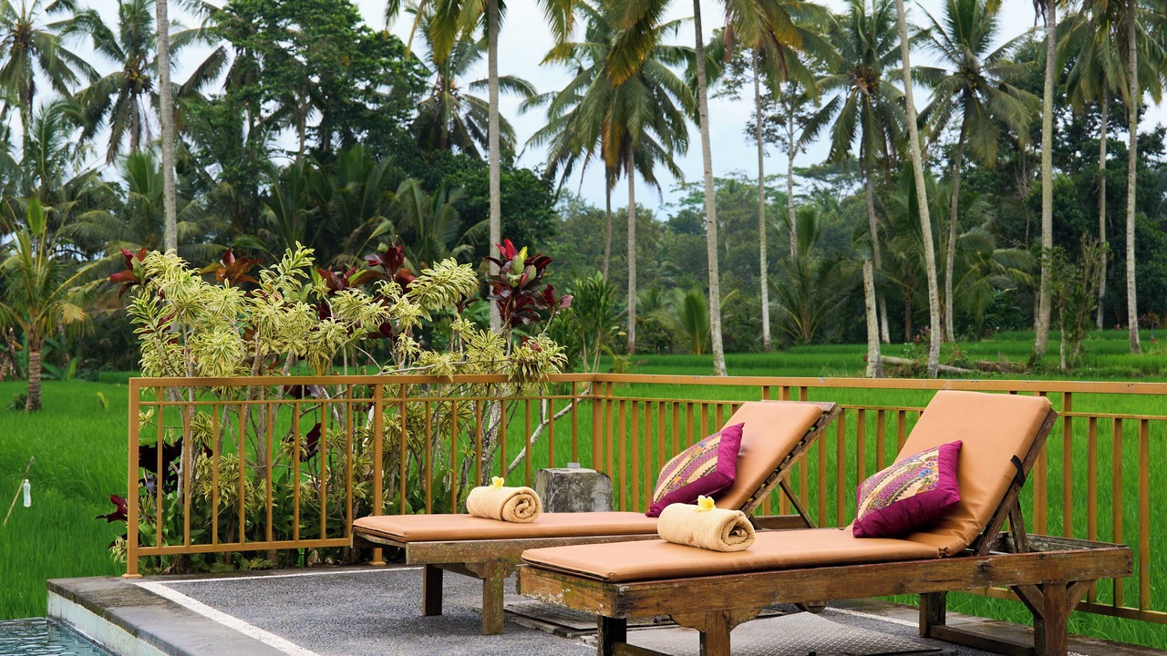 Photo of Outdoor in Tegallalang
