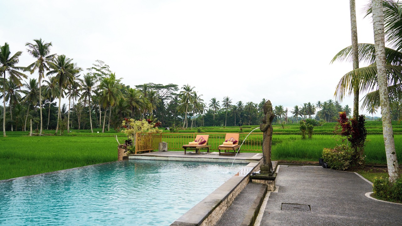 Photo of Outdoor in Tegallalang