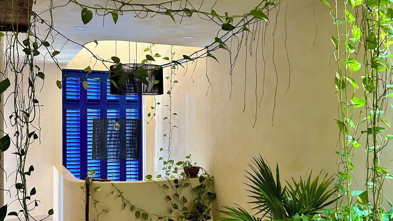 Photo of Outdoor in Isla Holbox