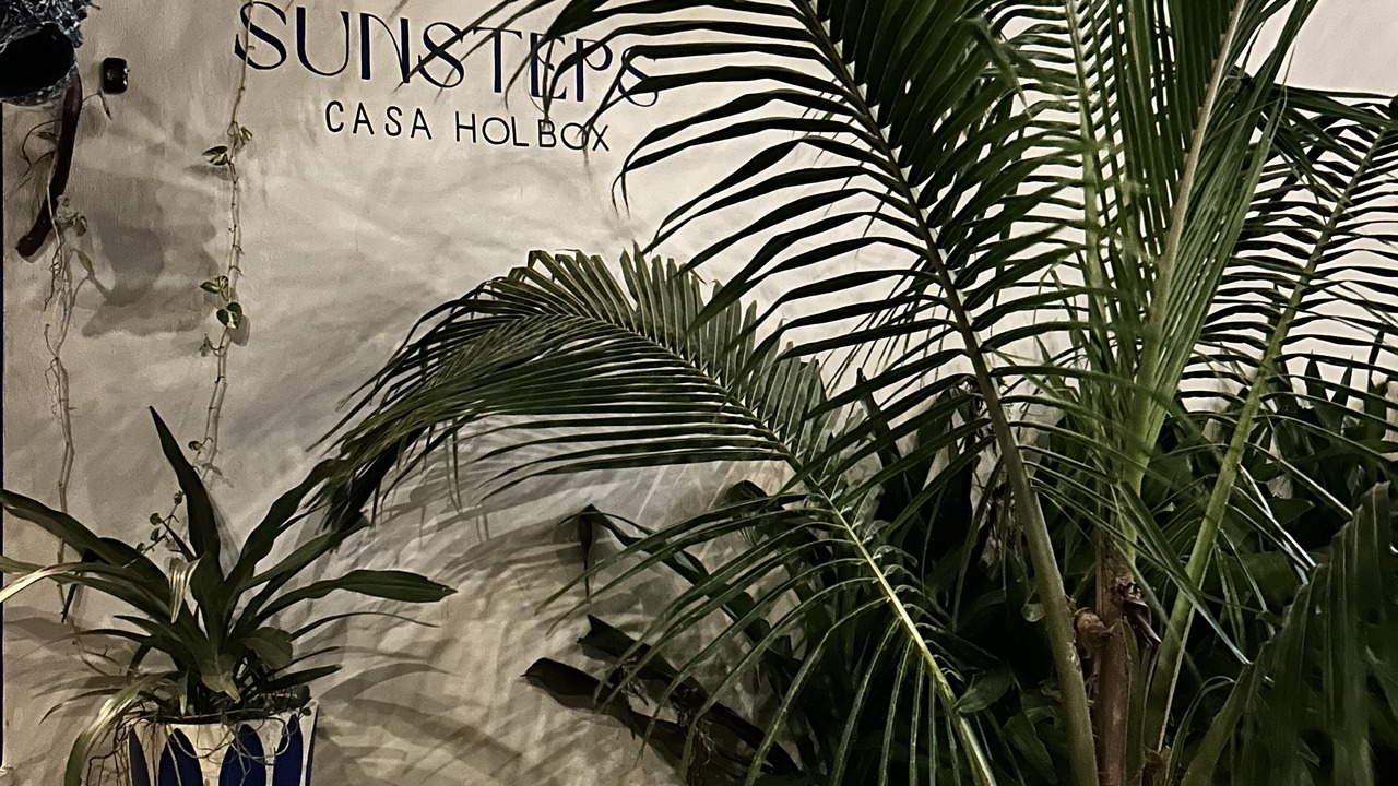 Photo of Outdoor in Isla Holbox
