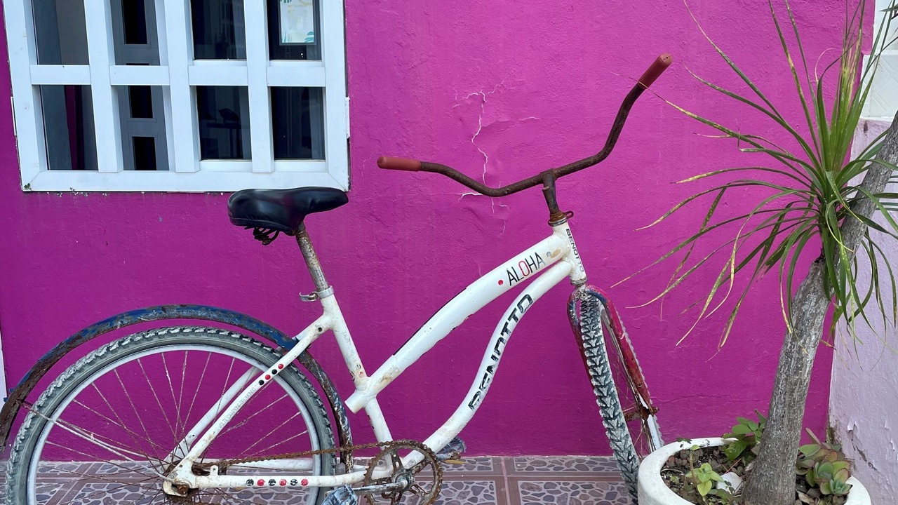 Photo of Livingroom in Isla Holbox