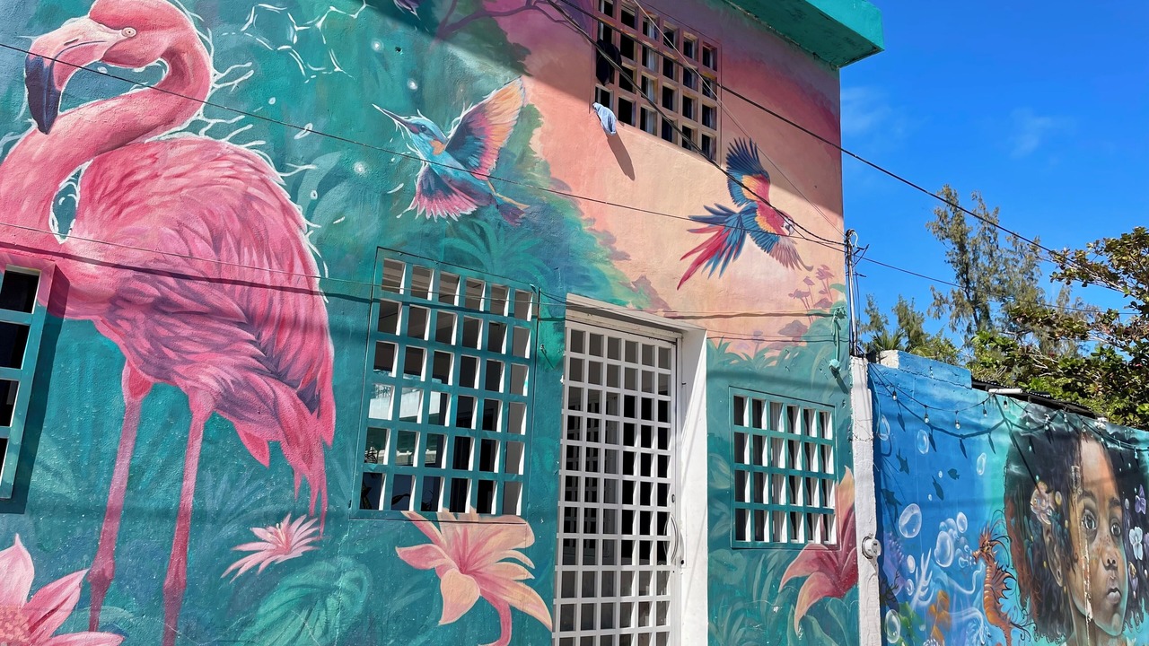 Photo of Outdoor in Isla Holbox