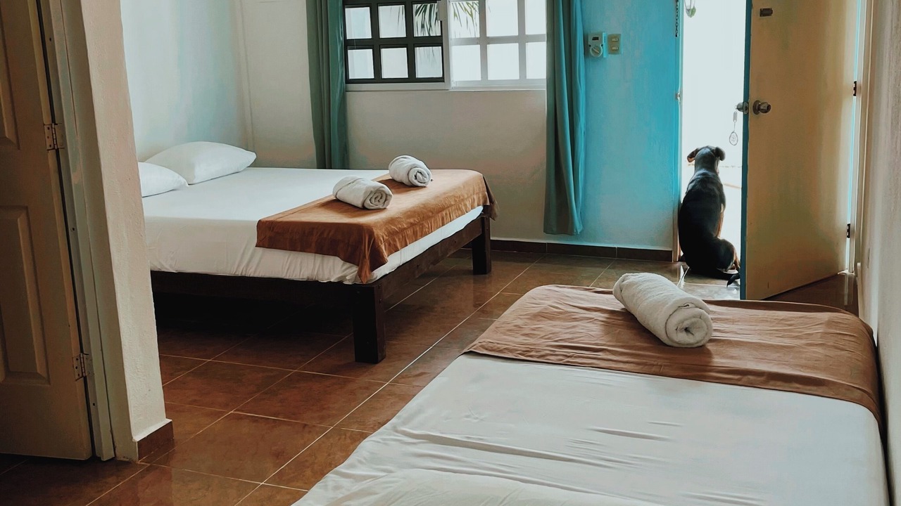 Photo of Others in Isla Holbox