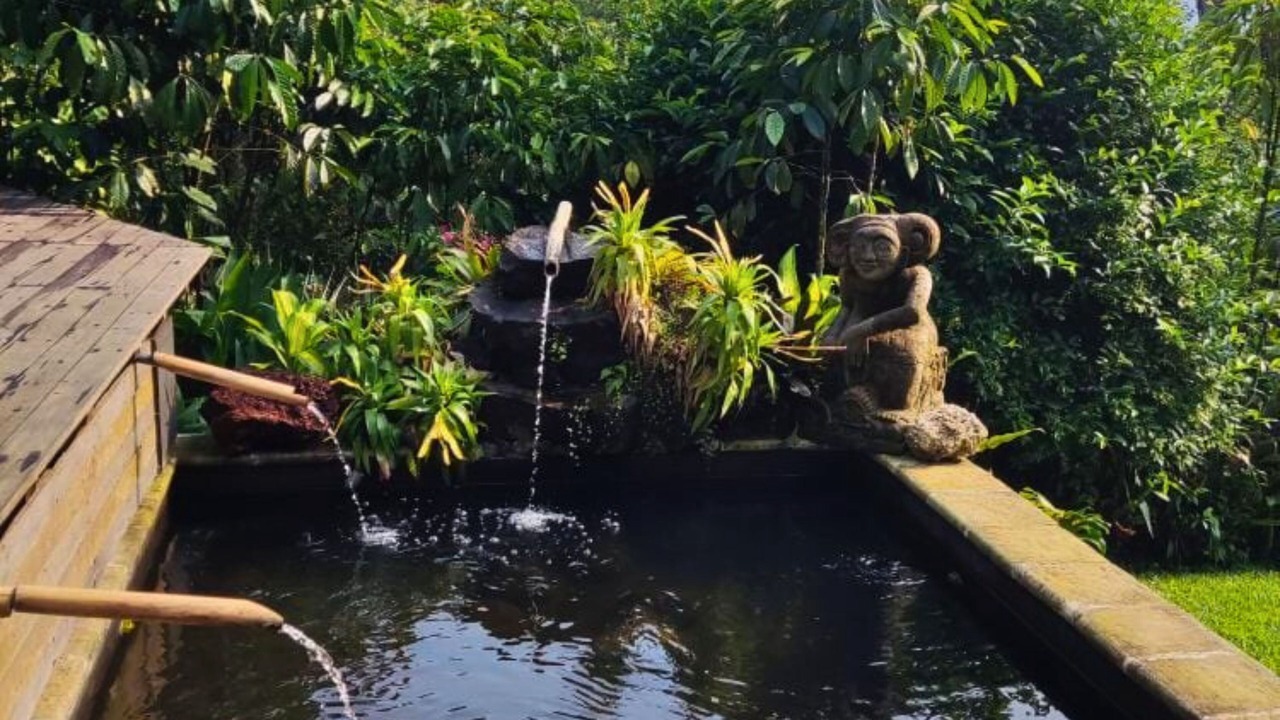 Photo of Outdoor in Candikuning
