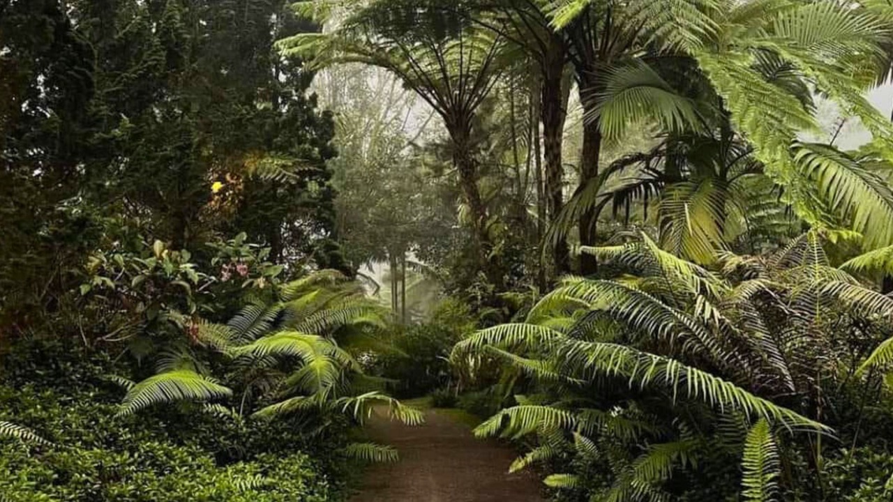 Photo of Outdoor in Candikuning