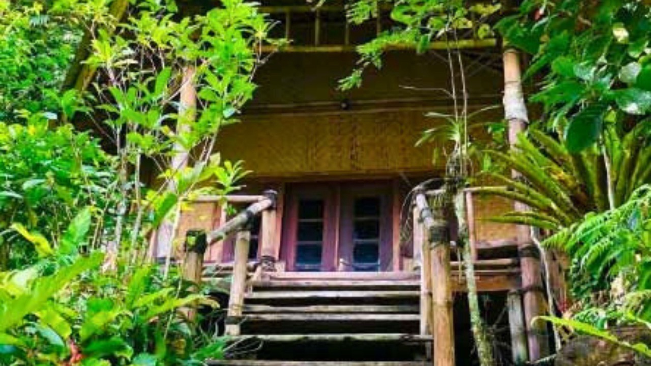 Photo of Patio Balcony in Candikuning