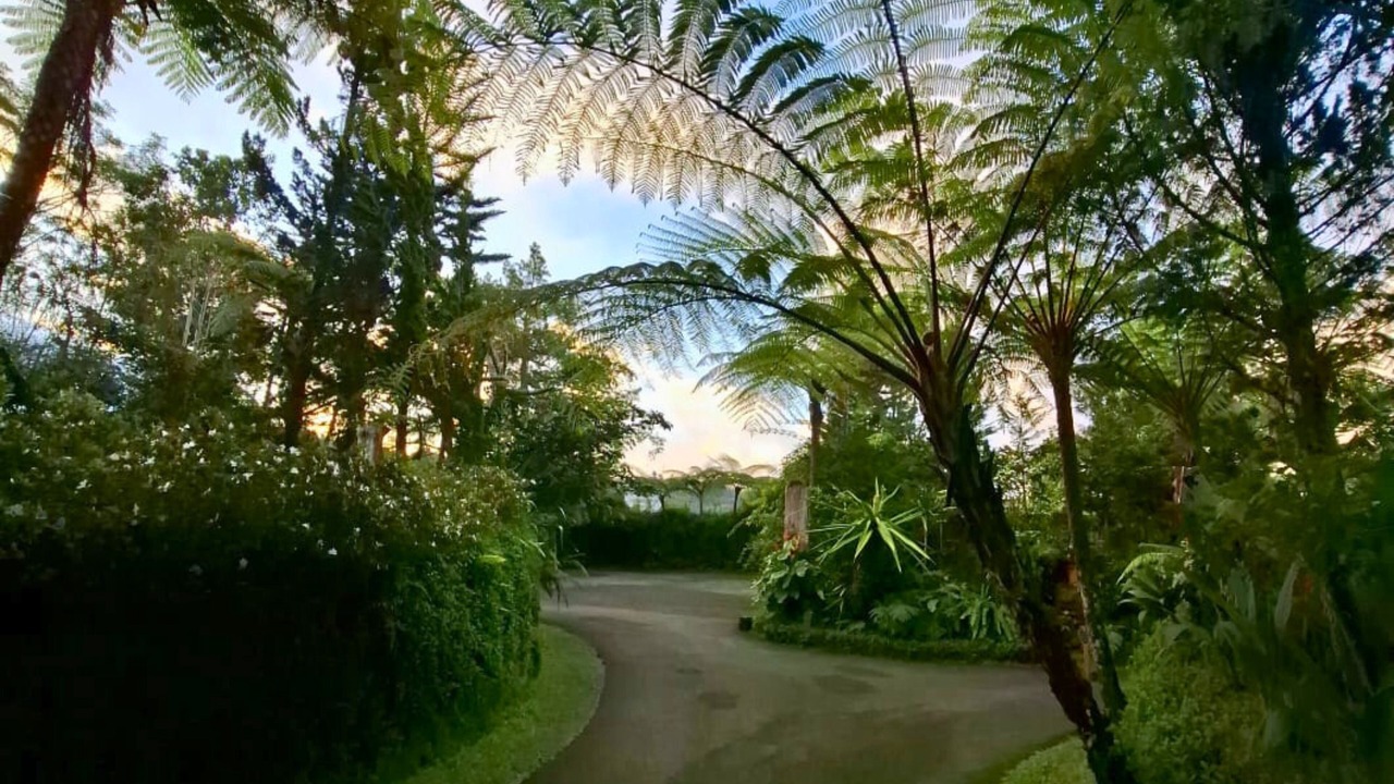 Photo of Outdoor in Candikuning