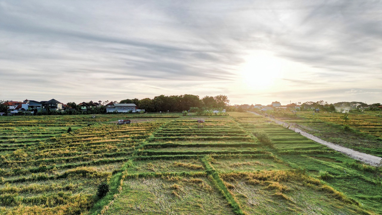 Photo of Outdoor in Padangsambian Klod