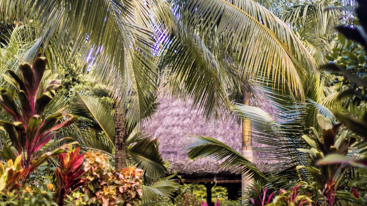 Photo of Outdoor in Mahe Island
