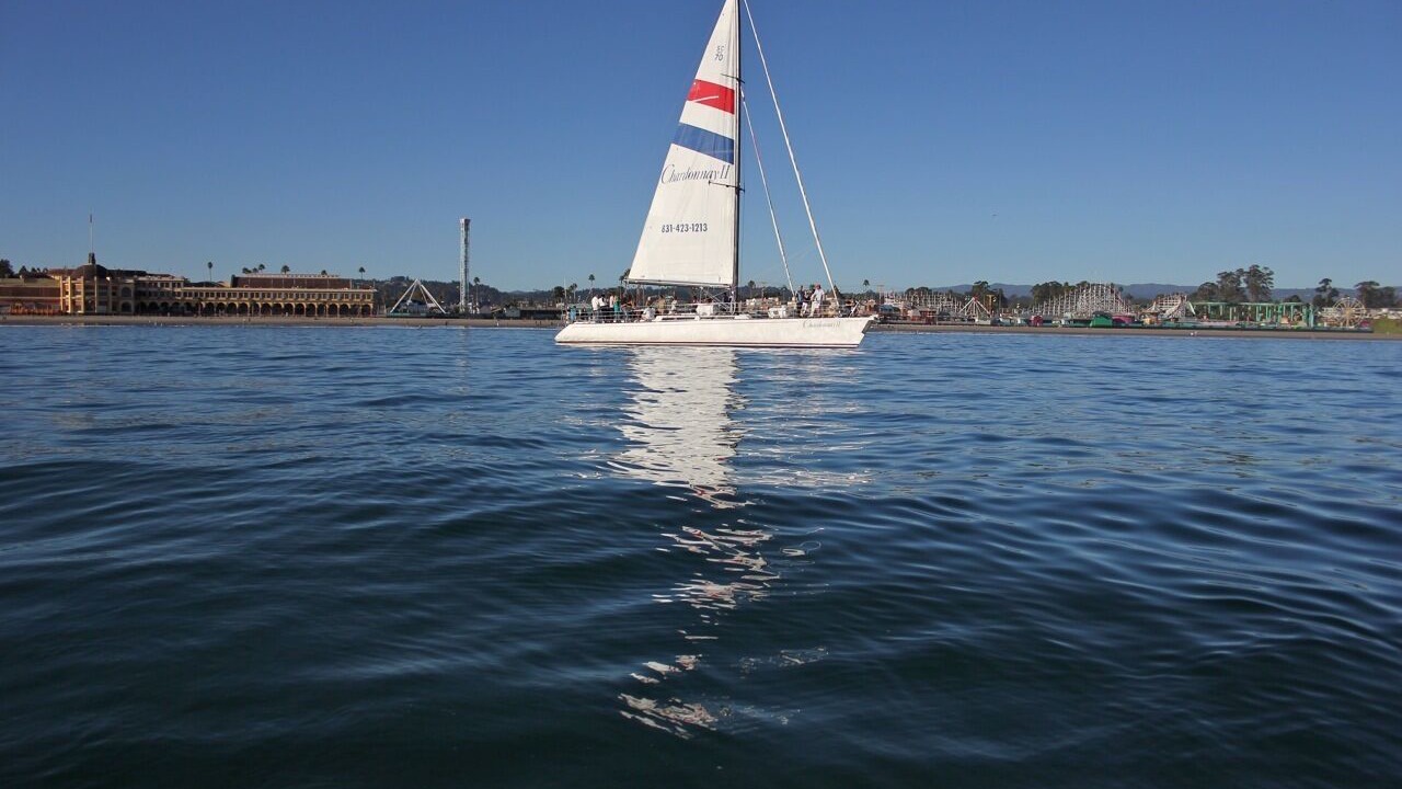 Photo of Others in Eastside Santa Cruz