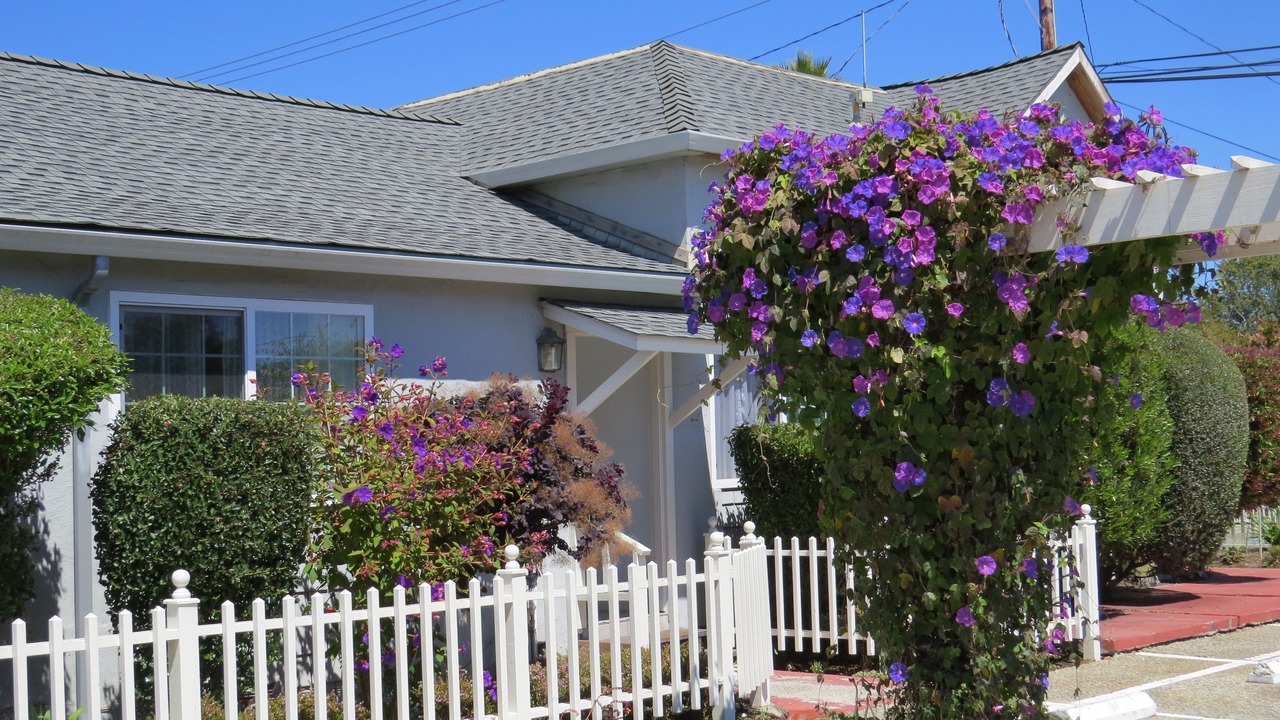 Photo of Outdoor in Eastside Santa Cruz