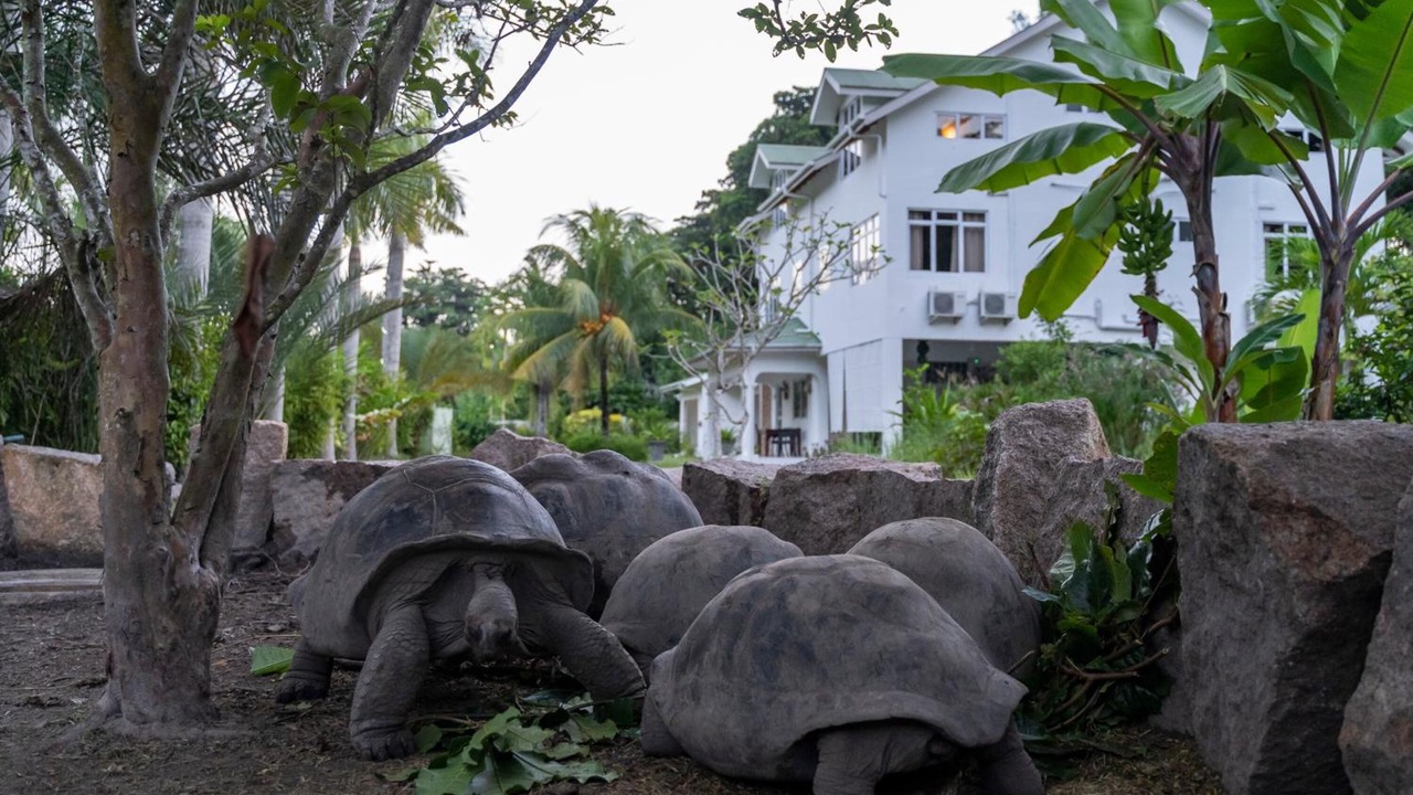 Photo of Outdoor in Grand Anse