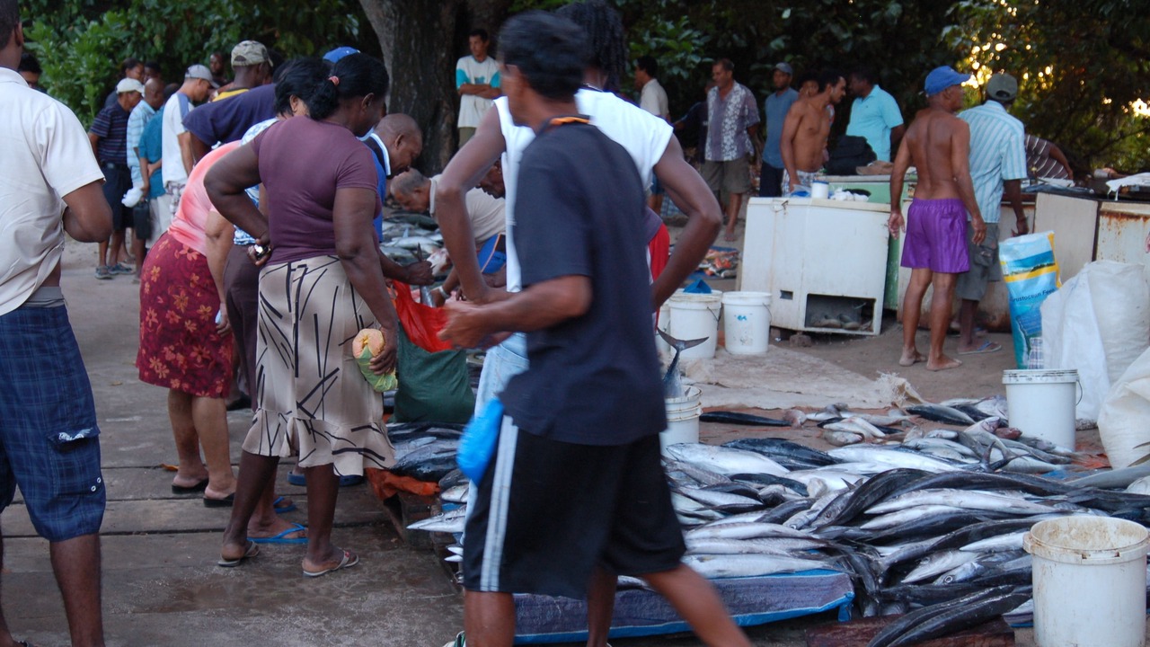 Photo of Outdoor in Anse Royale