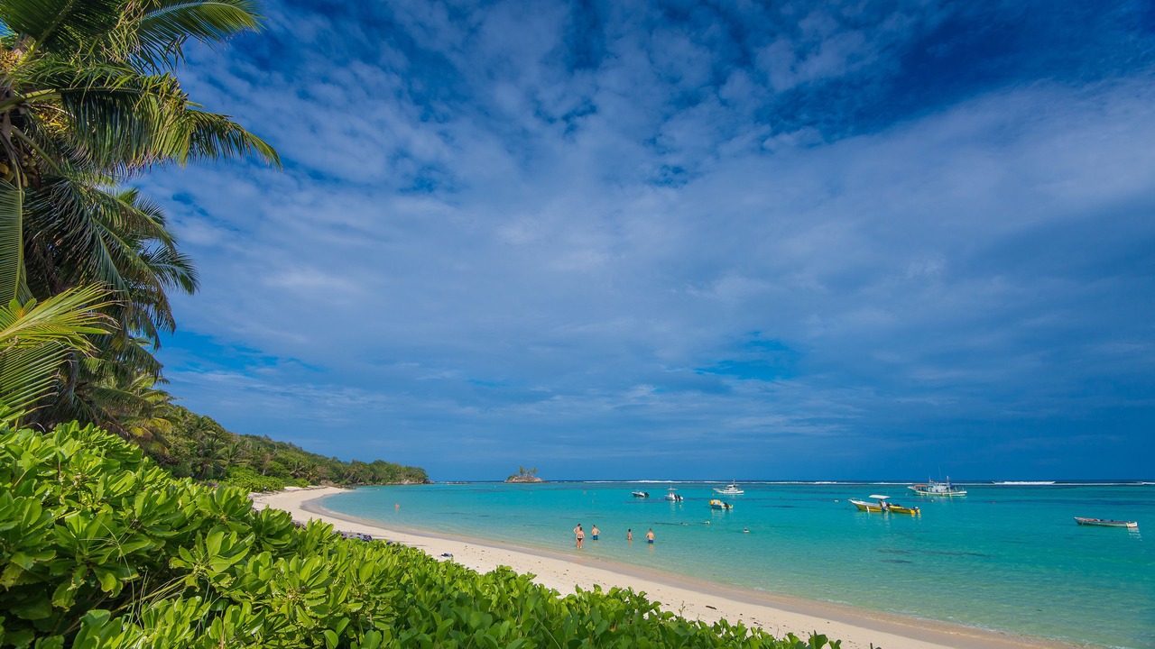 Photo of Others in Anse Royale