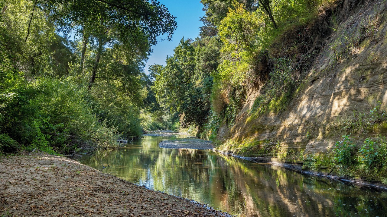 Photo of Outdoor in Soquel