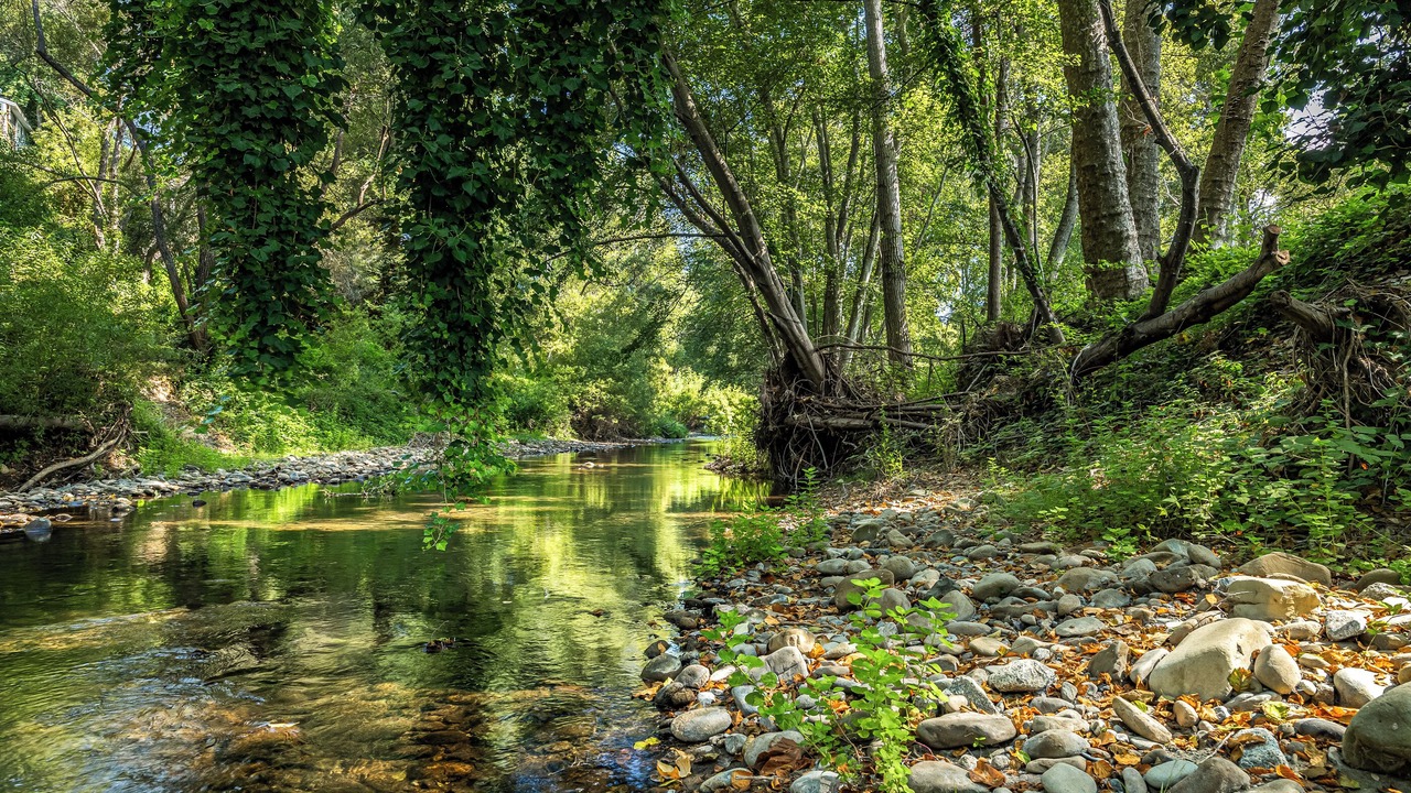 Photo of Outdoor in Soquel