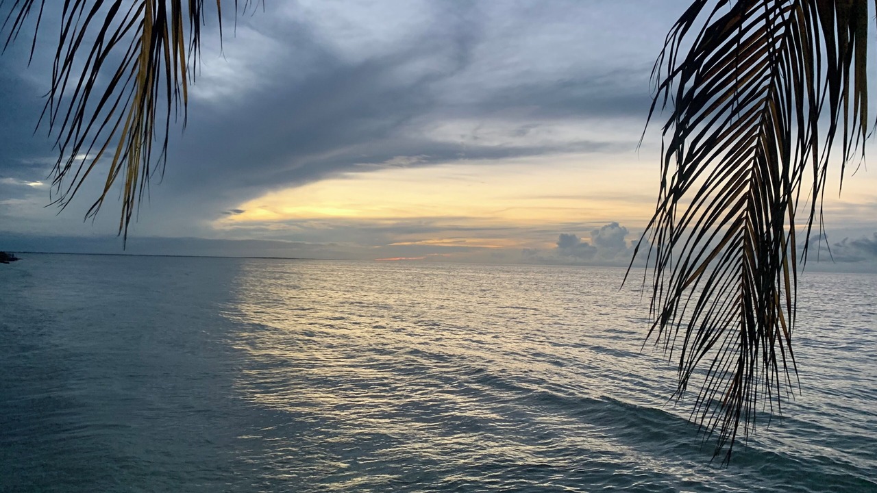 Photo of Others in Isla Holbox