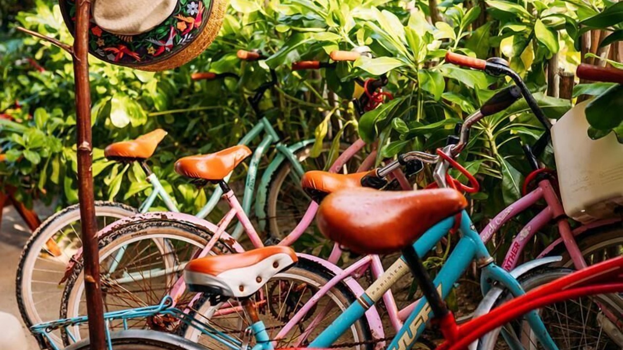 Photo of Outdoor in Isla Holbox