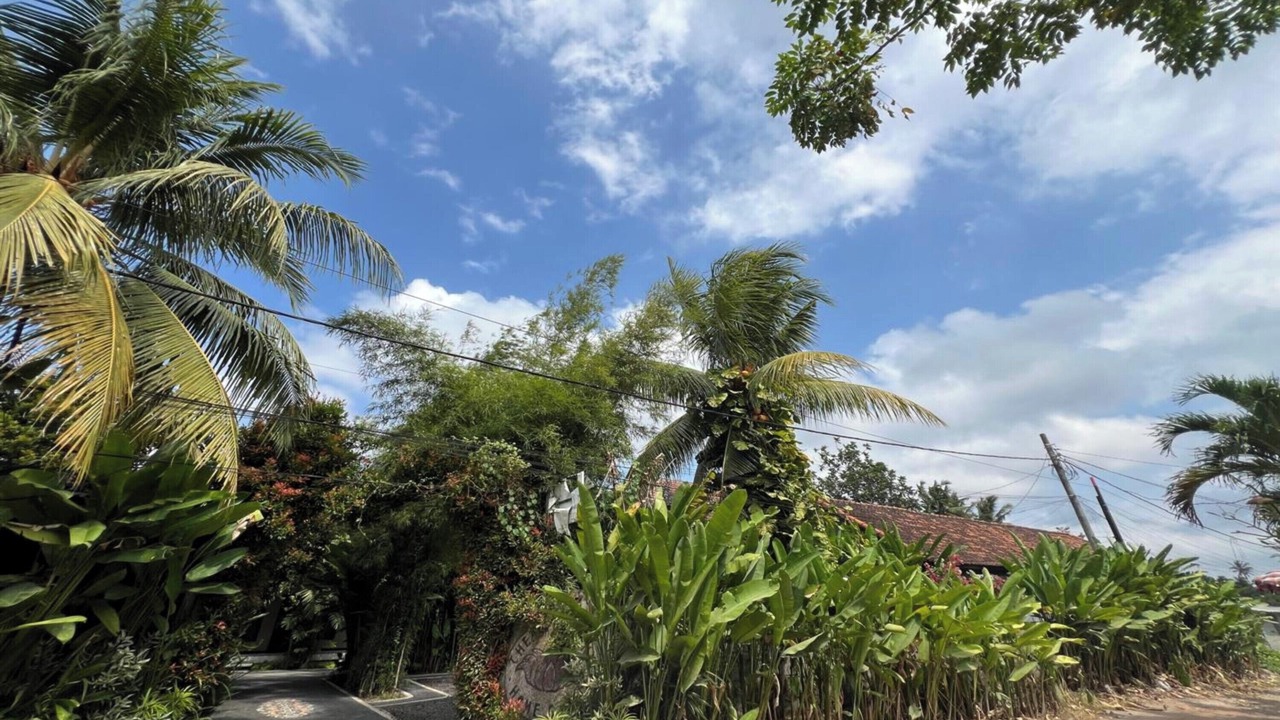 Photo of Outdoor in Mengwi