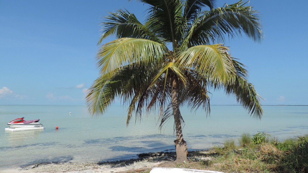 Photo of Outdoor in Costa Mujeres