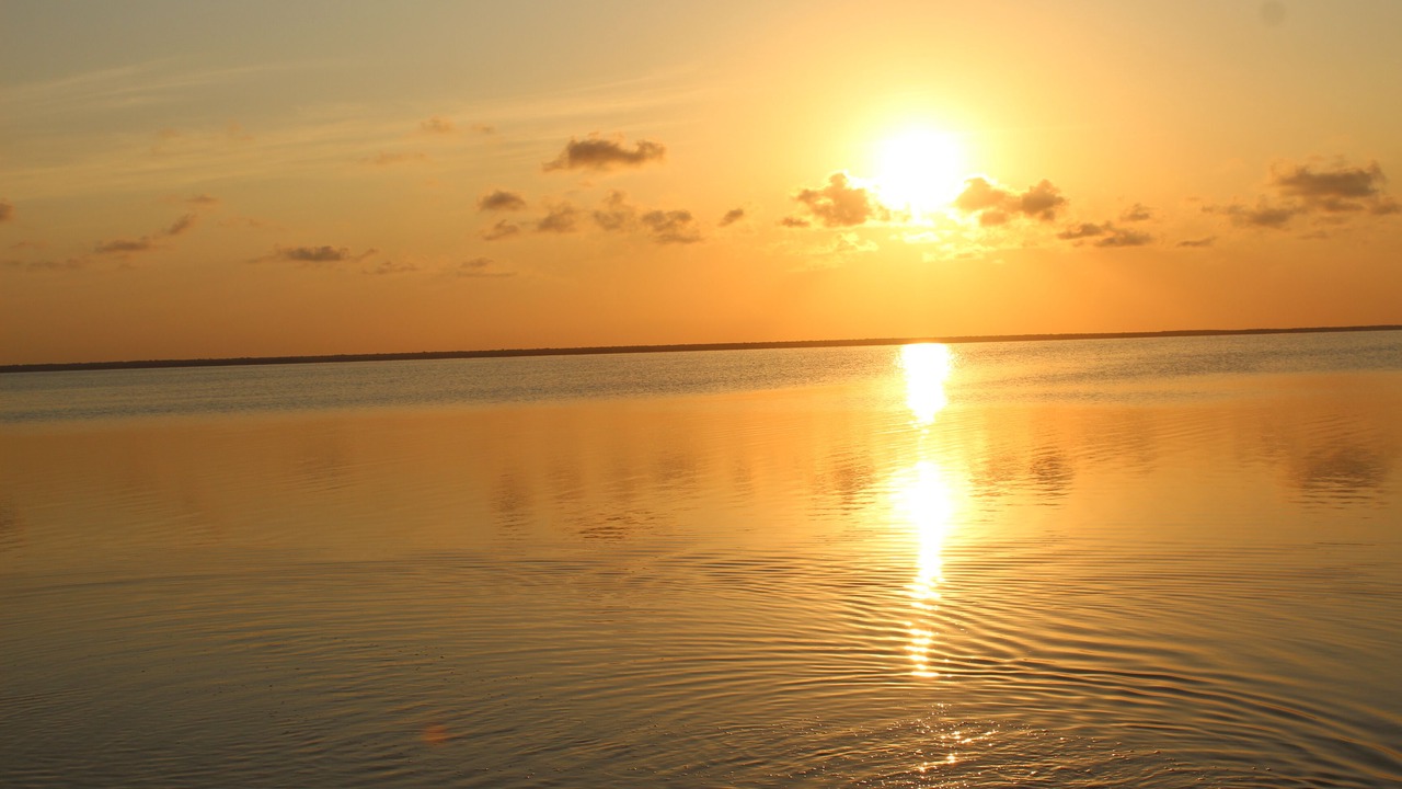 Photo of Others in Costa Mujeres