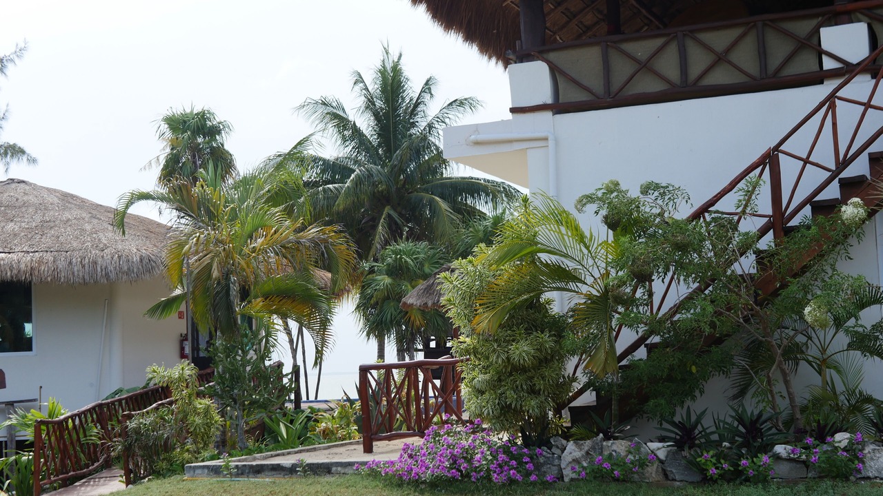 Photo of Outdoor in Costa Mujeres