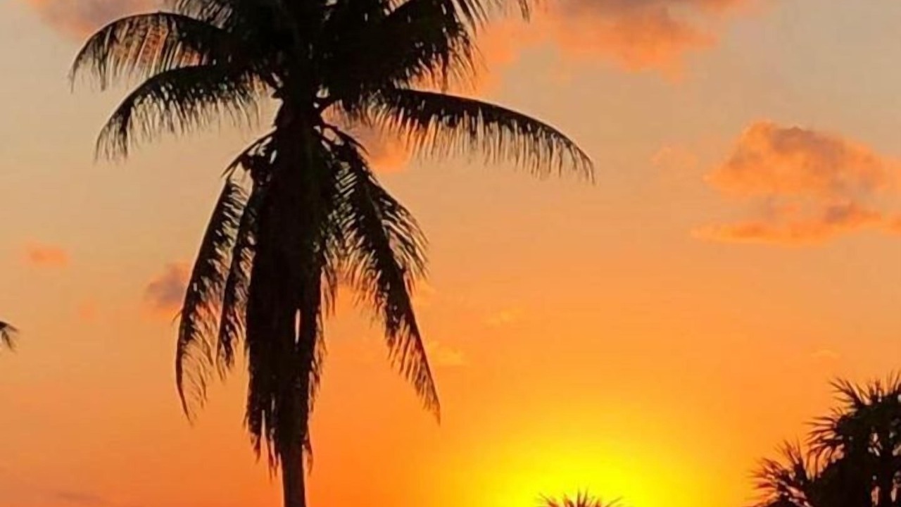 Photo of Outdoor in Costa Mujeres