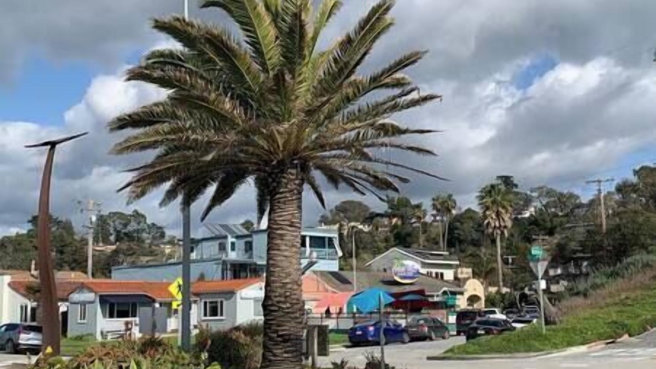 Photo of Others in Rio del Mar