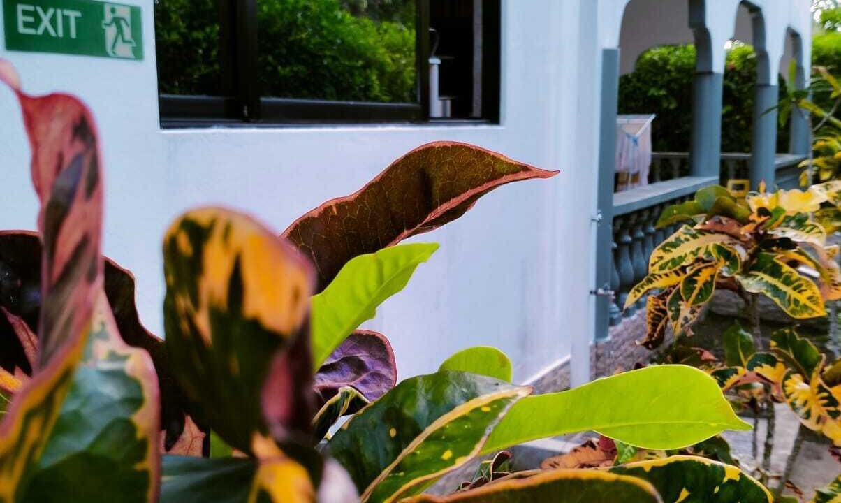 Photo of Outdoor in La Digue