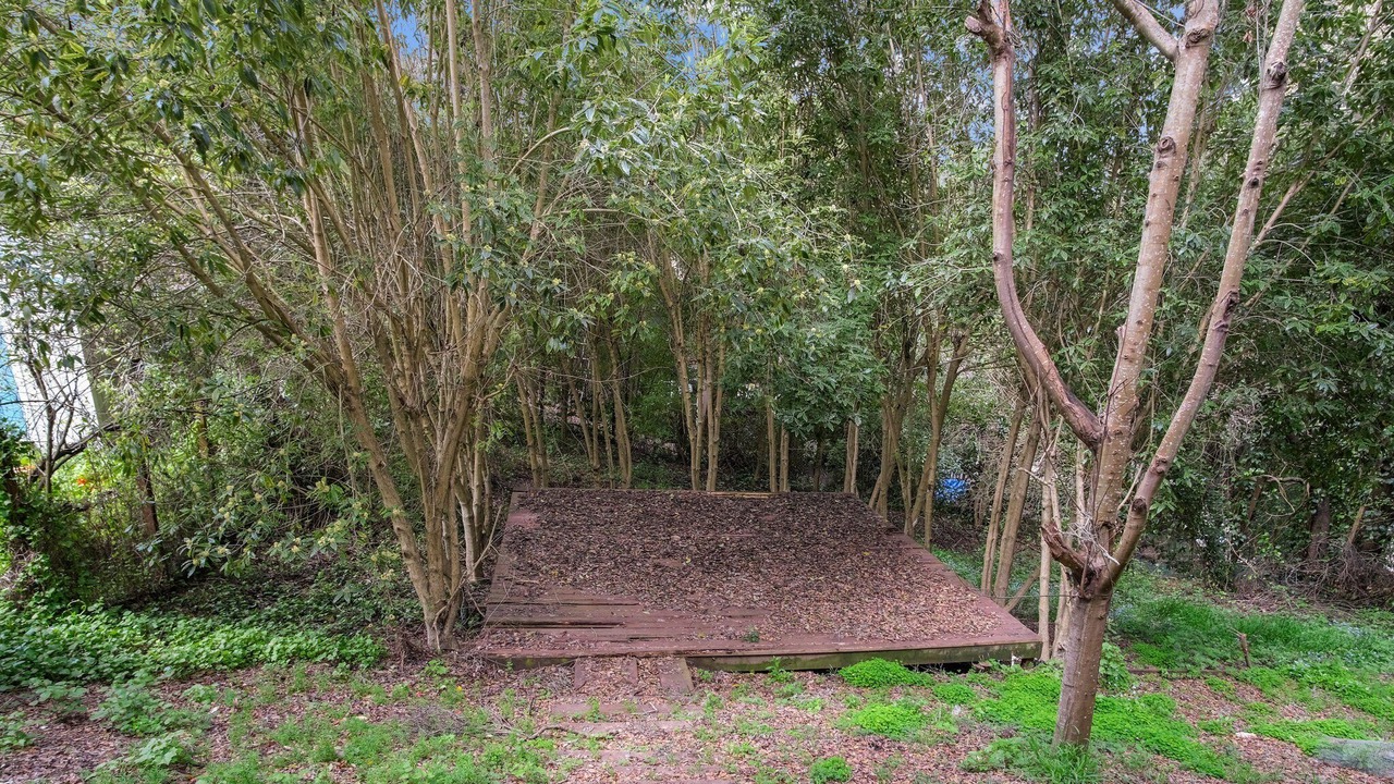 Photo of Outdoor in Rio del Mar