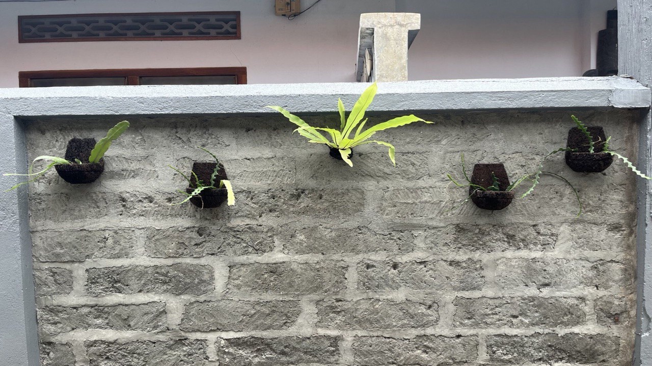 Photo of Outdoor in Denpasar Utara