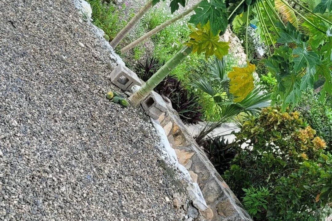 Photo of Outdoor in Discovery Bay