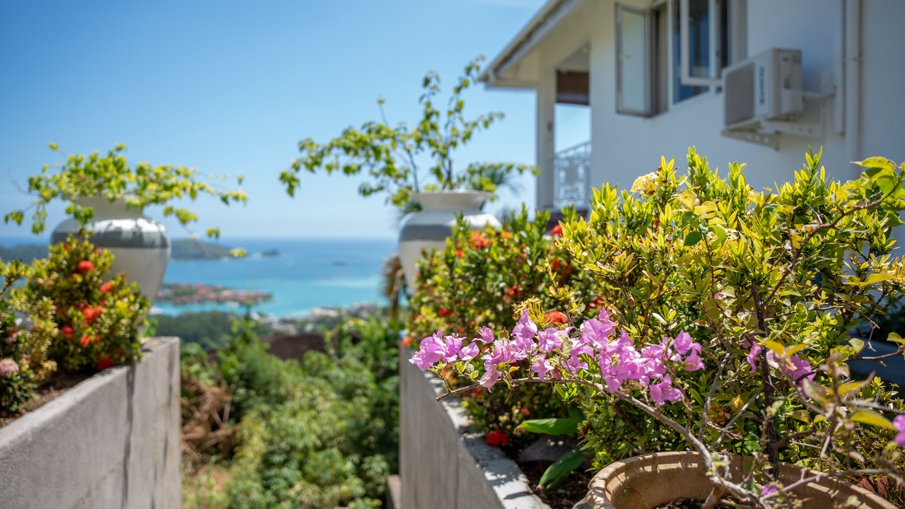 Photo of Outdoor in Zig Zag Ward