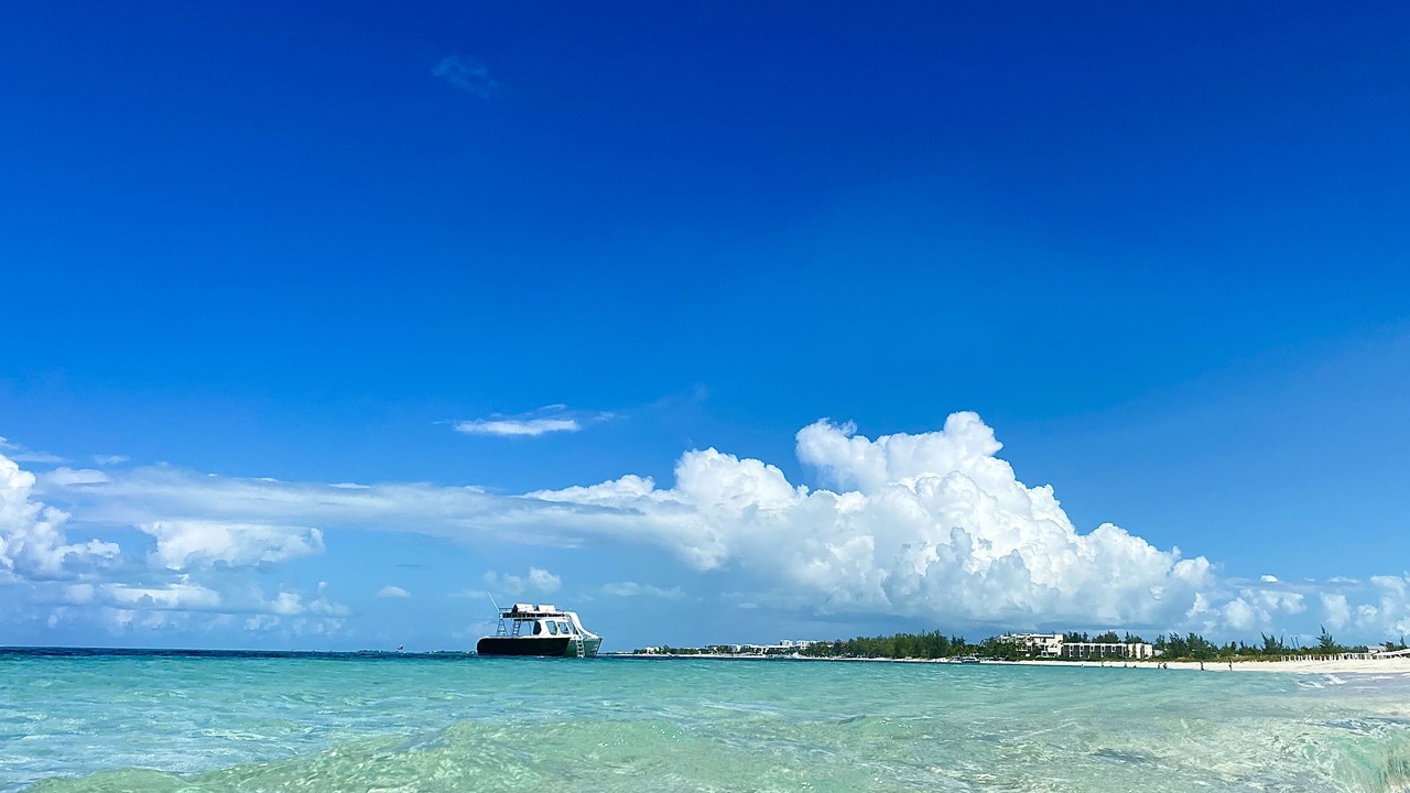 Photo of Others in Discovery Bay