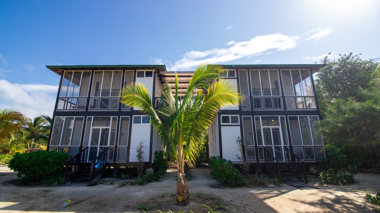 Photo of Others in Downtown Holbox