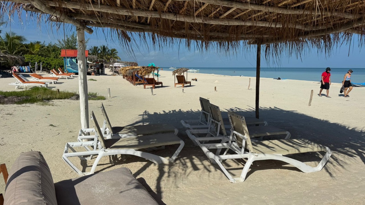 Photo of Others in Downtown Holbox