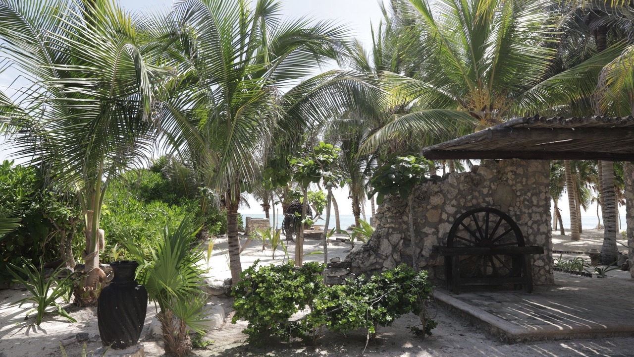 Photo of Outdoor in Costa Mujeres