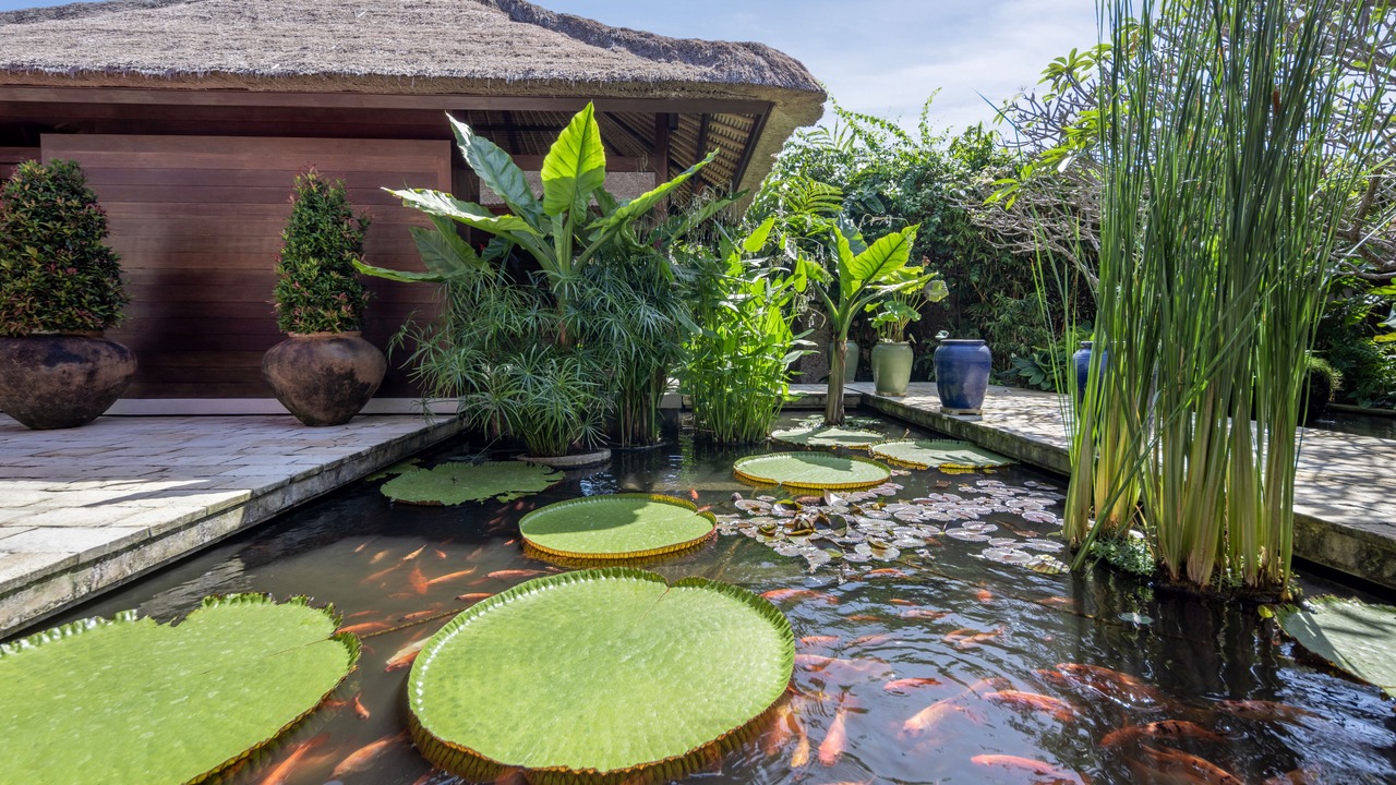 Photo of Outdoor in Sanur
