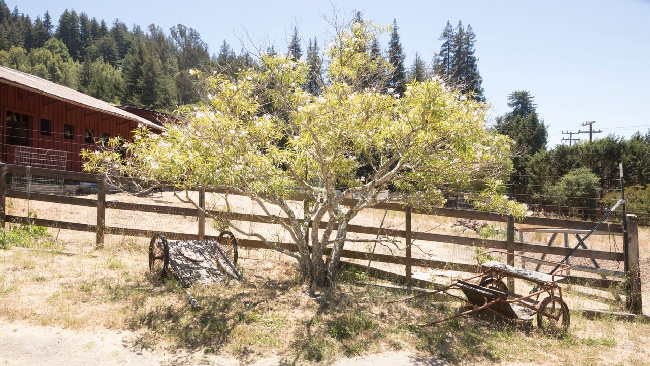 Photo of Outdoor in Santa Cruz