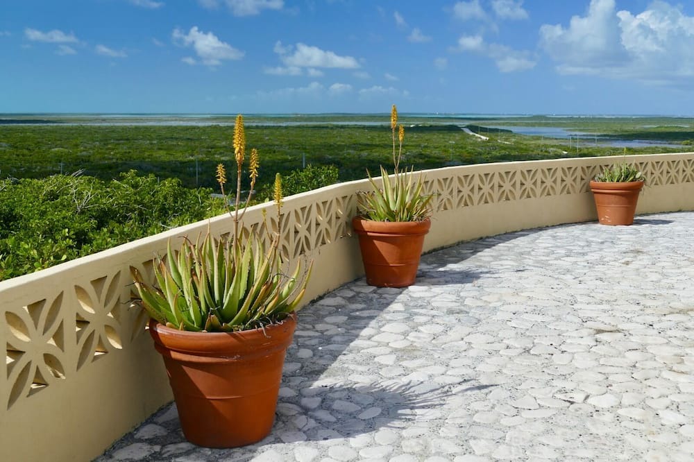Photo of Outdoor in Conch Bar