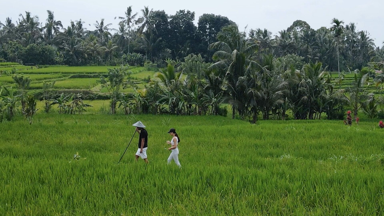 Photo of Others in Payangan