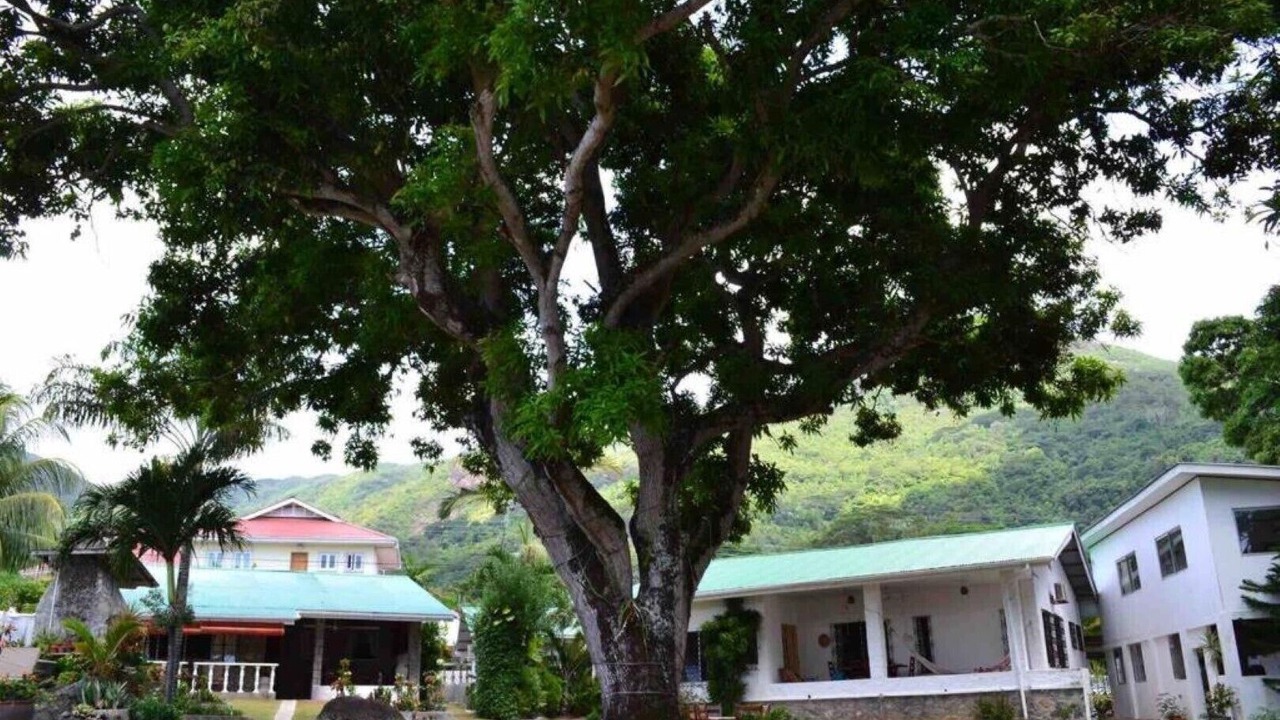 Photo of Outdoor in Bel Ombre