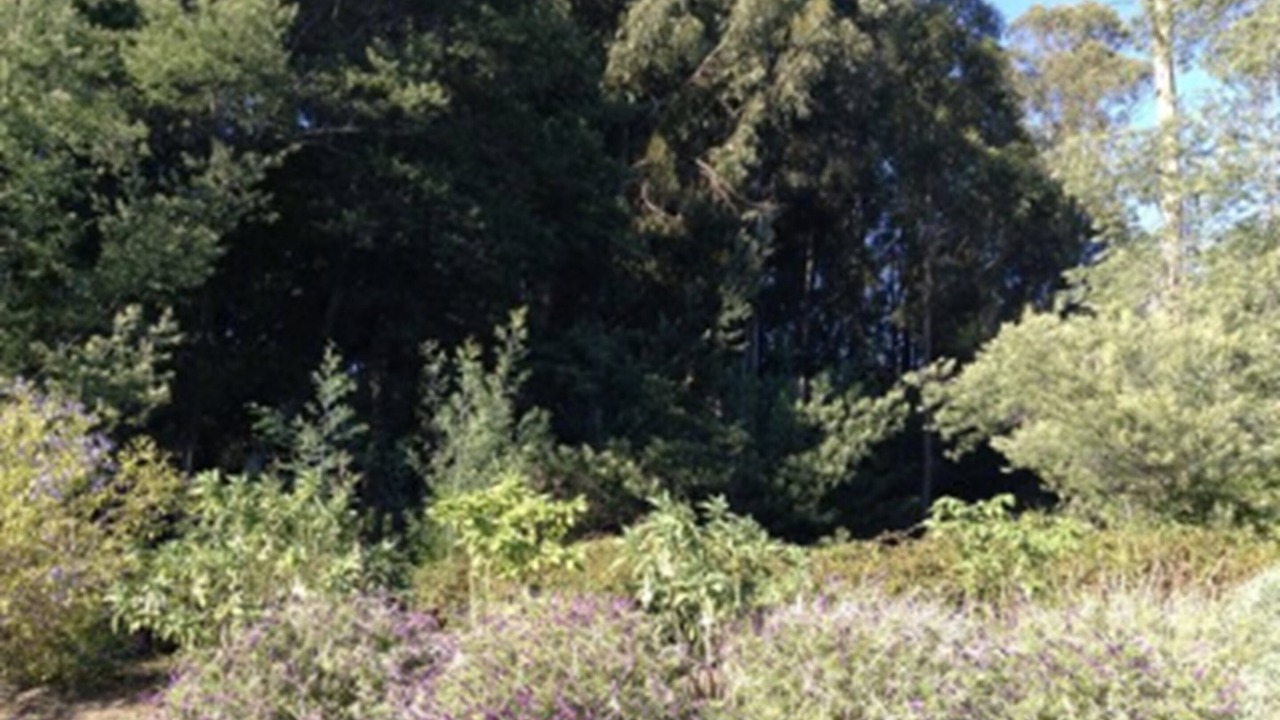 Photo of Outdoor in Santa Cruz