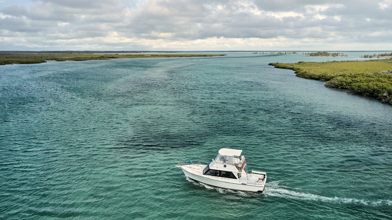 Photo of Others in Parrot Cay