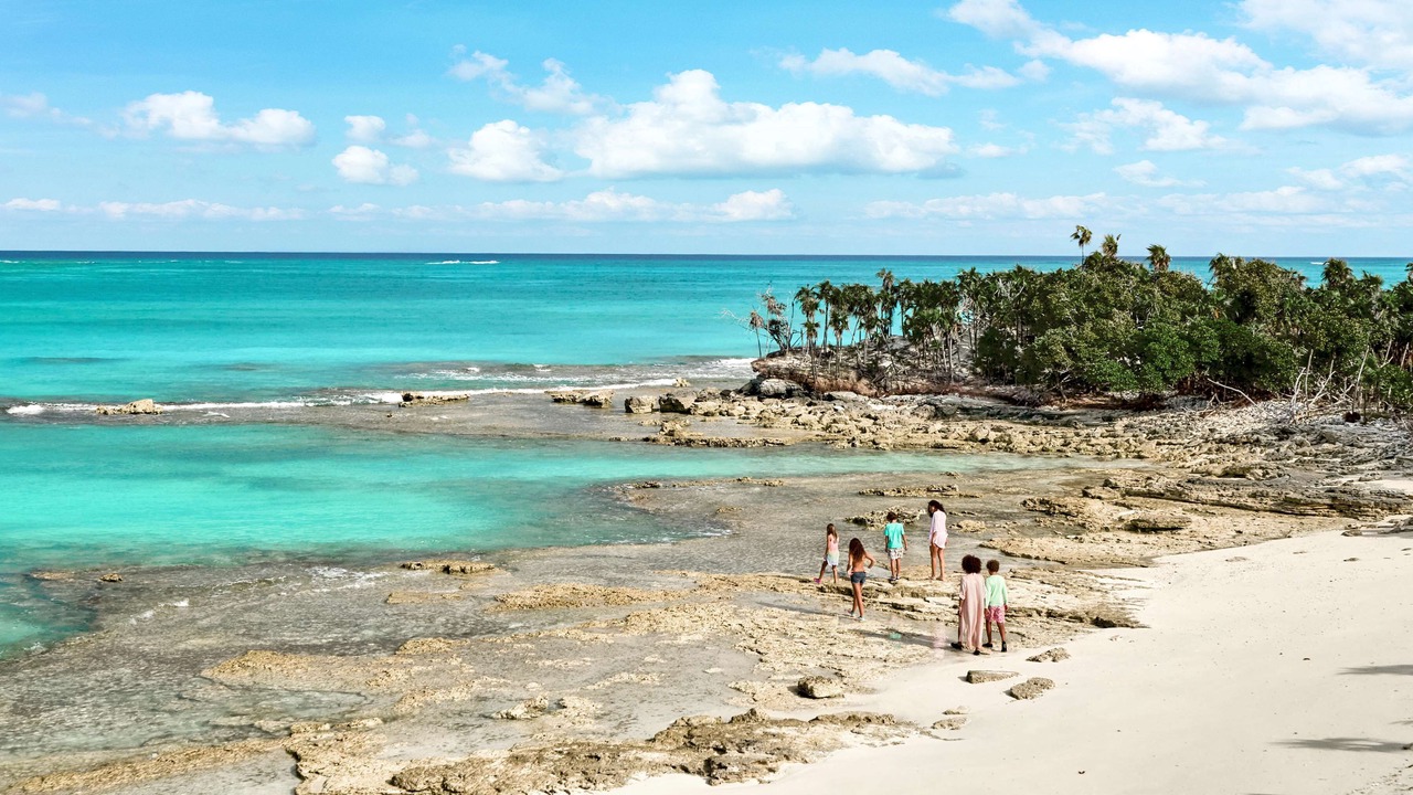 Photo of Others in The Bight