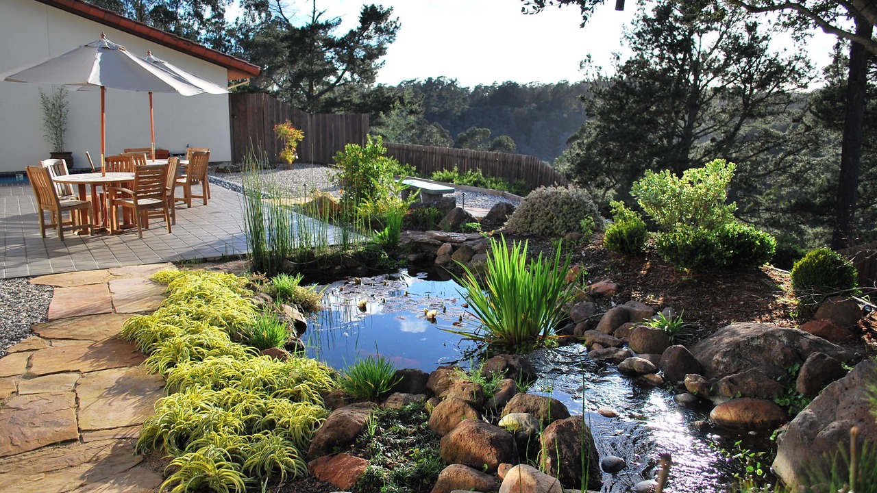 Photo of Outdoor in Live Oak