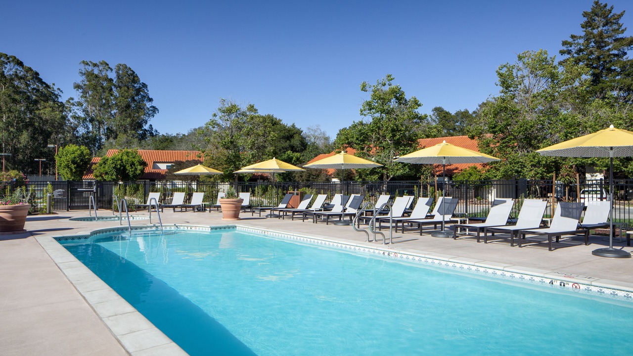 Photo of Outdoor in Live Oak